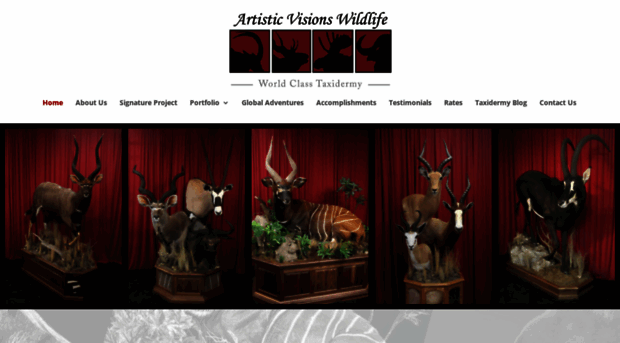 artisticvisionswildlife.com