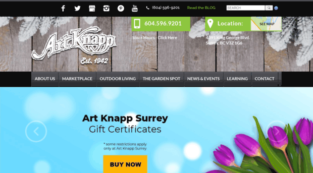 artknappsurrey.com