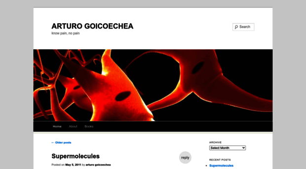 arturogoicoecheablog.wordpress.com