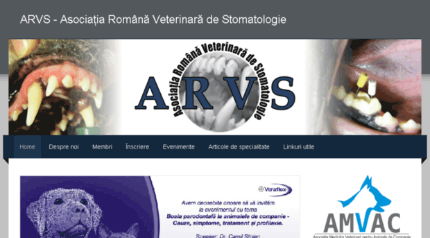 arvs.ro