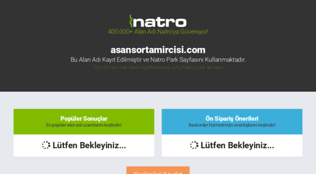 asansortamircisi.com