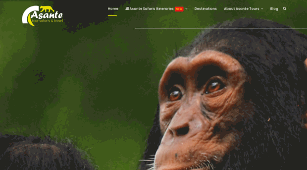 asantetours.com