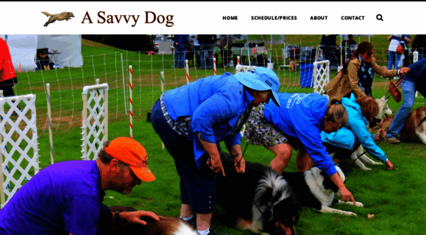 asavvydogtraining.com