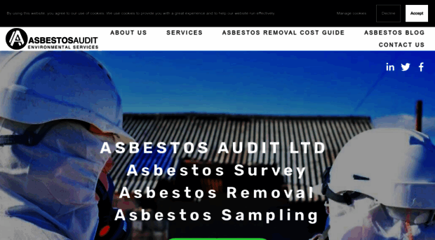 asbestosaudit.co