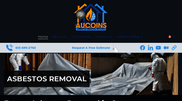asbestosremovalottawa.ca