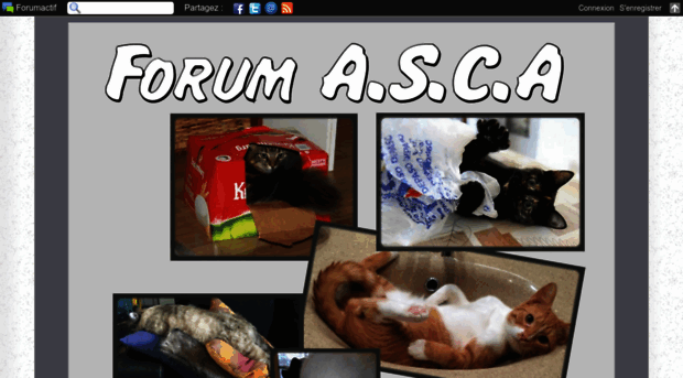 asca.forumactif.org