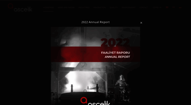 ascelik.com