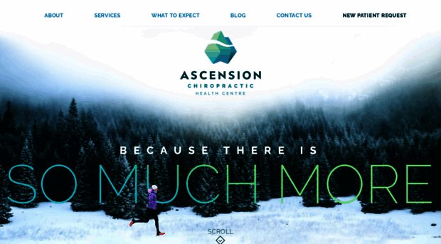 ascensionchiro.ca