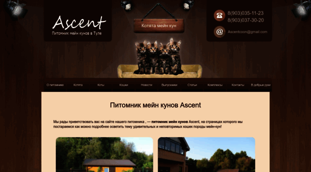 ascent71.ru