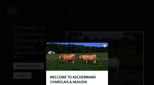 aschermanncharolais.com