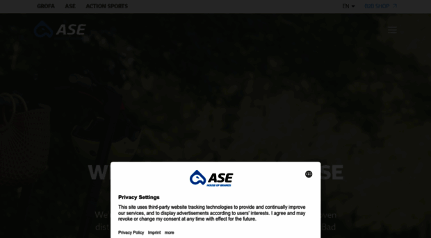ase-mobility.com