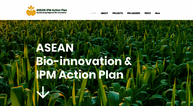 aseanfawaction.org