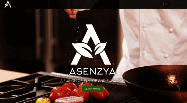 asenzya.com