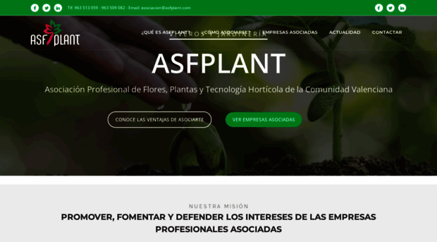 asfplant.com