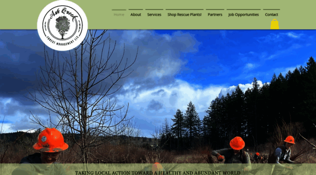 ashcreekforestry.com