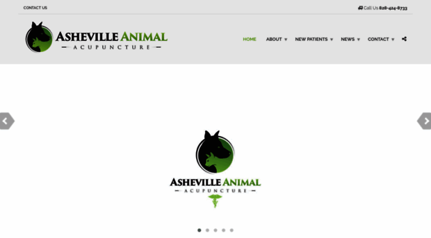 ashevilleanimalacupuncture.com