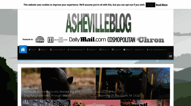 ashevilleblog.com