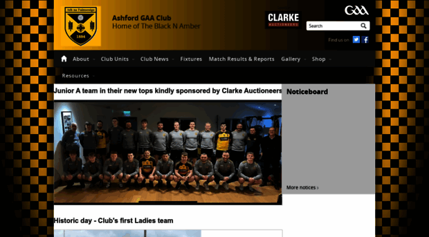 ashford.gaa.ie