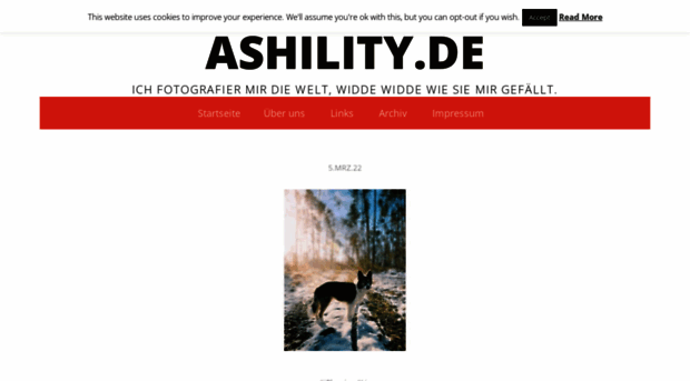 ashility.de