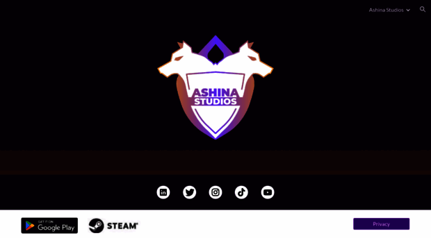 ashinastudios.com