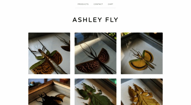 ashleyfly.com