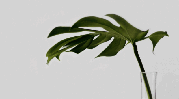 ashleymarandhealth.com