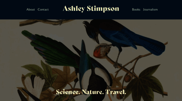 ashleystimpson.com