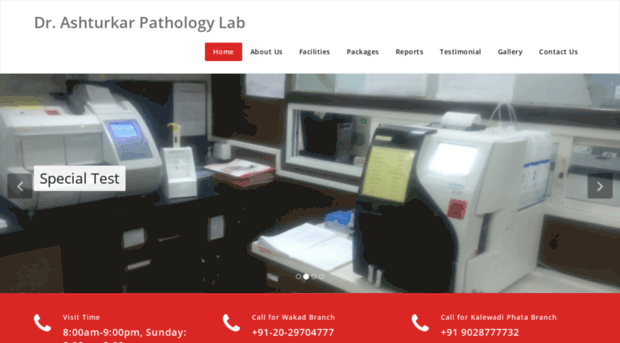 ashturkarpathologylab.com