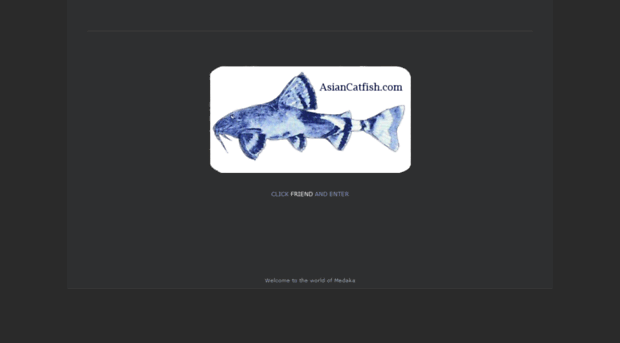asiancatfish.com