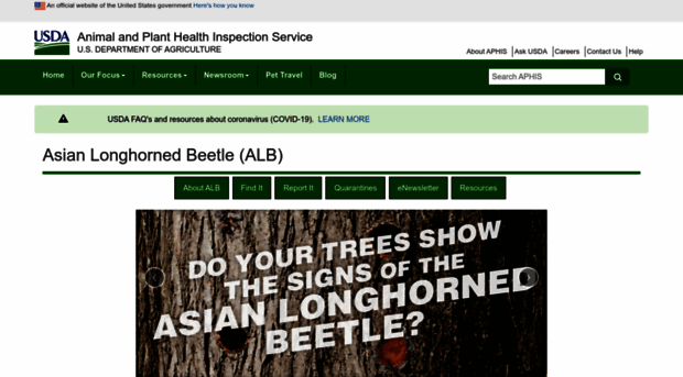 asianlonghornedbeetle.com