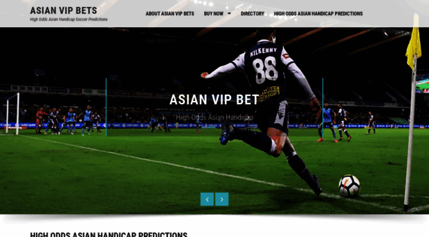 asianvipbets.com