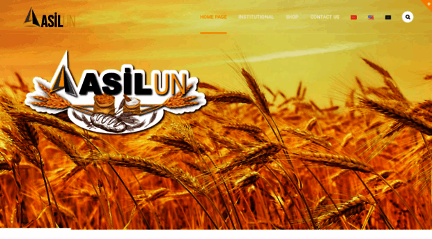 asilun.com.tr