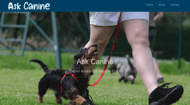 askcanine.com