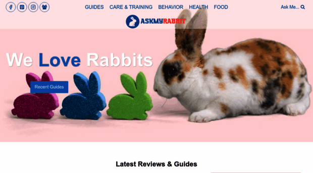 askmyrabbit.com