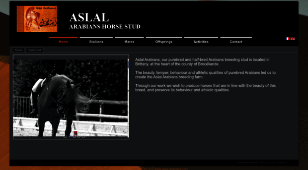 aslal-arabians.com