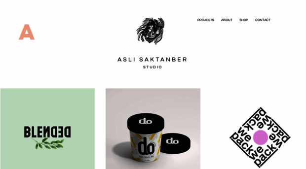 aslisaktanber.com