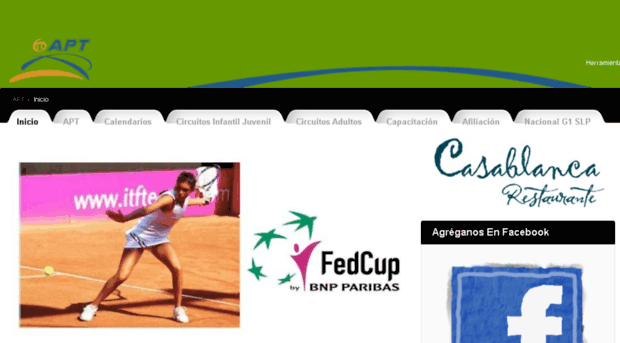 asociacionpotosinadetenis.com