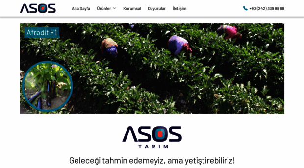 asostarim.com