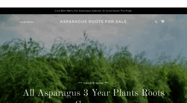 asparagusrootsforsale.com