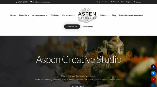 aspenandco.co.za