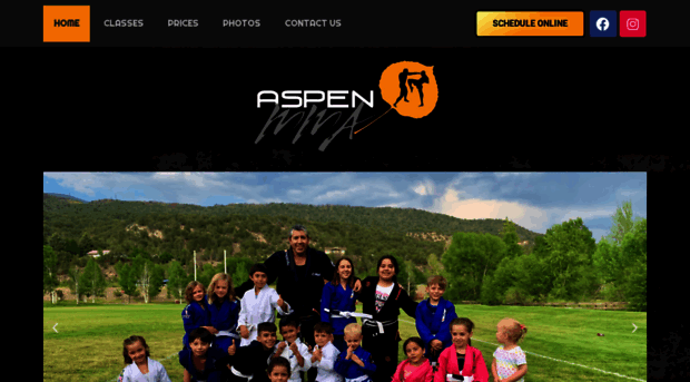 aspenmma.com