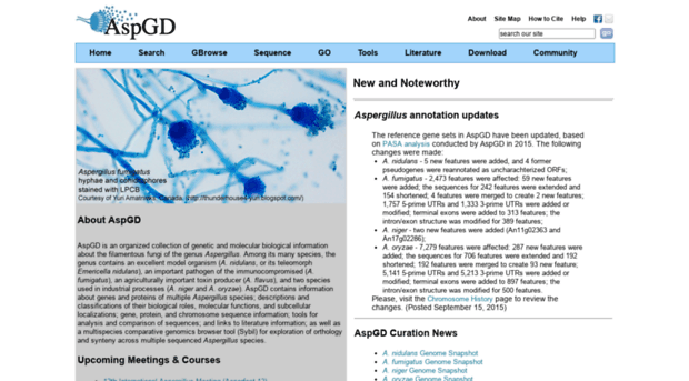 aspergillusgenome.org