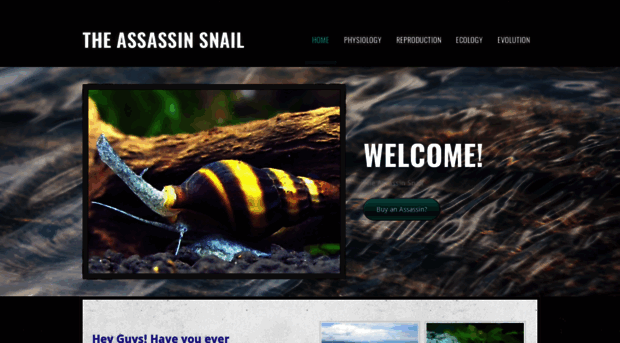 assassinsnail.weebly.com
