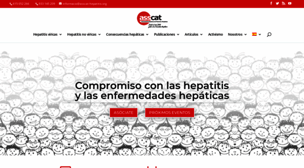 asscat-hepatitis.org