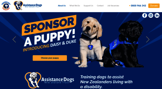 assistancedogstrust.org.nz