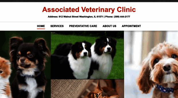 associatedvet.com