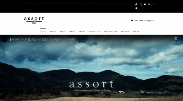 assort-hair.com