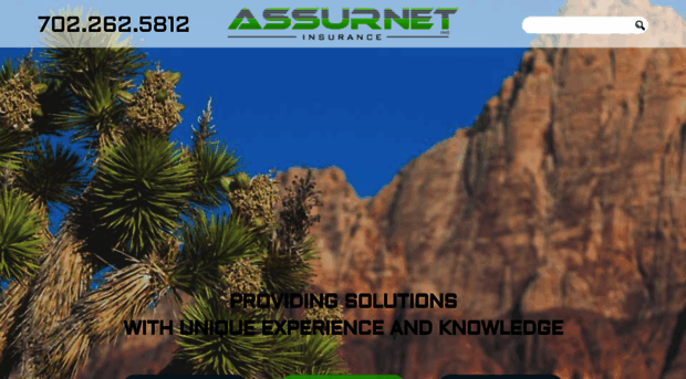 assurnetinsurance.net