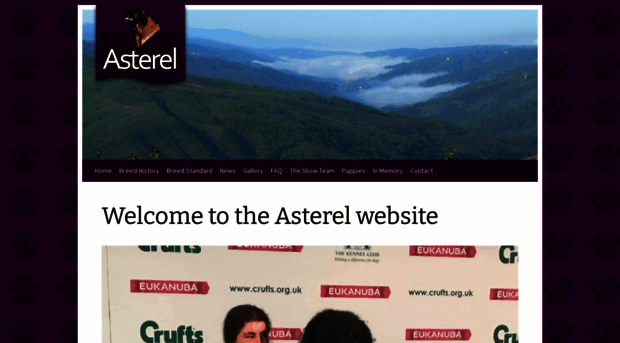 asterel.co.uk