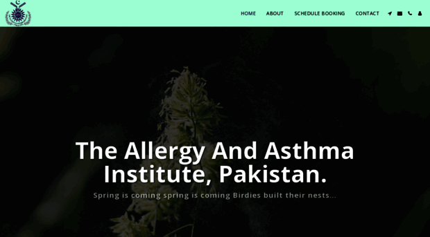 asthmapakistan.com